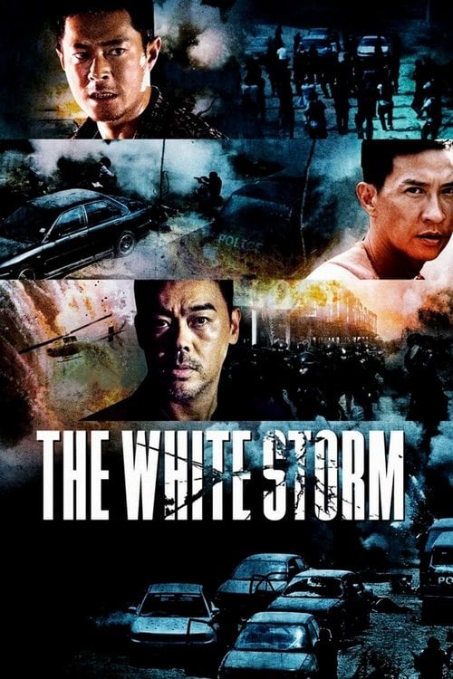 Movie poster for The White Storm (2013)