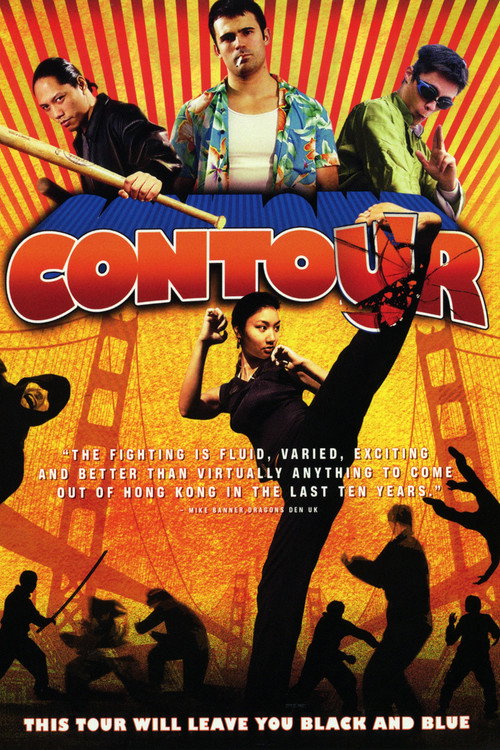 Movie poster for Contour (2006)