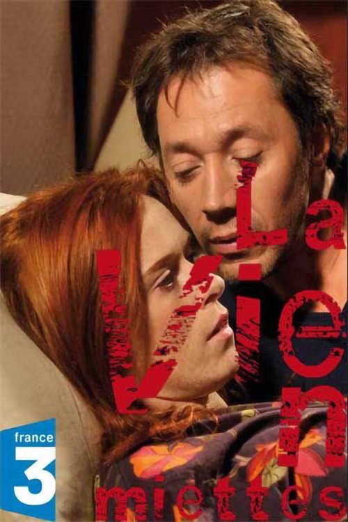 Movie poster for La Vie en miettes (2011)