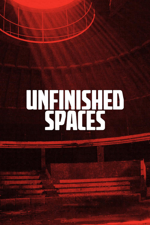 Movie poster for Unfinished Spaces (2011)