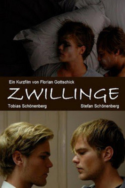 Movie poster for Twins (2010)