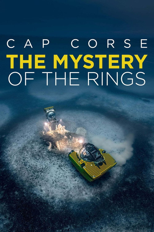 Movie poster for The Mystery of the Med Rings (2024)