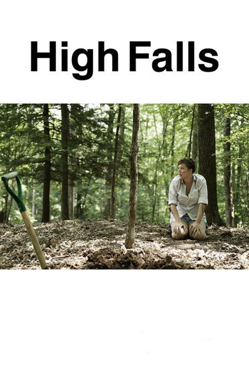 Movie poster for High Falls (2007)