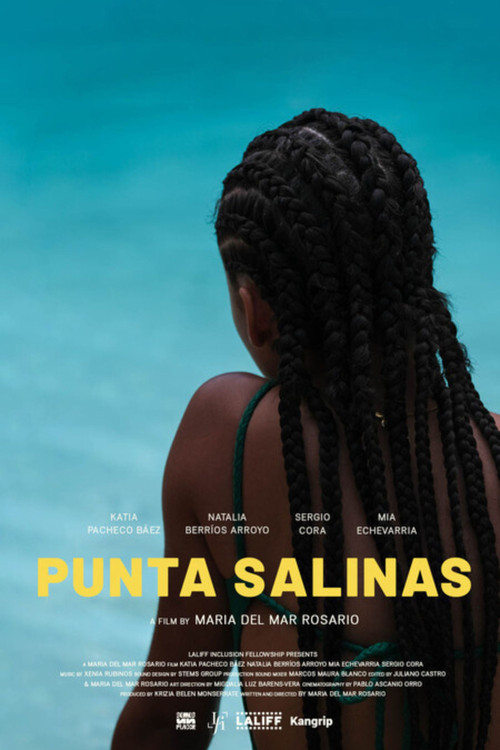 Movie poster for Punta Salinas (2024)