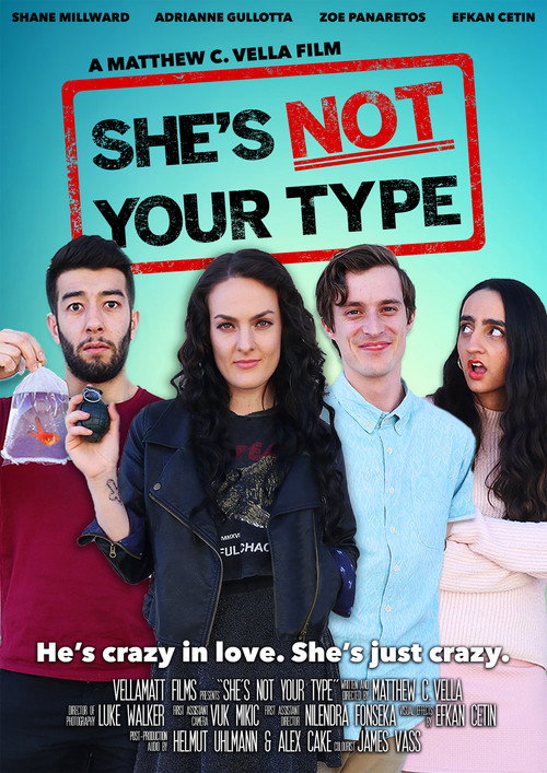 Movie poster for She's Not Your Type (2018)