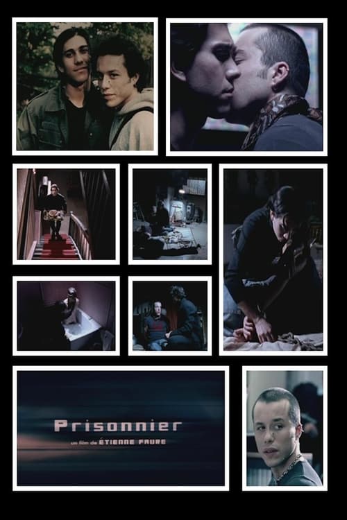 Movie poster for Prisoner (2004)