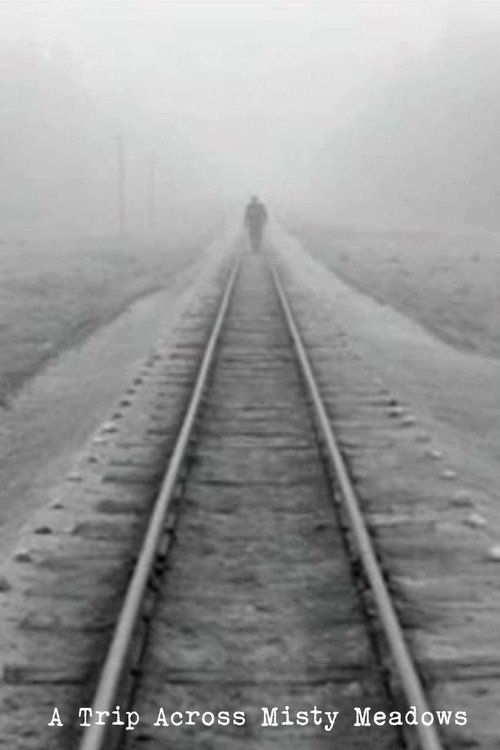 Movie poster for A Trip Across Misty Meadows (1973)