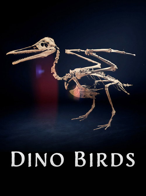 Movie poster for Dino Birds (2025)