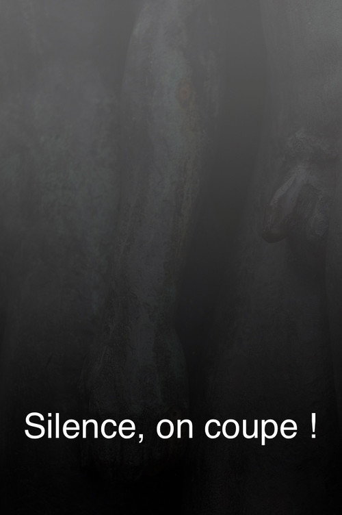 Movie poster for Silence, on coupe ! (2005)