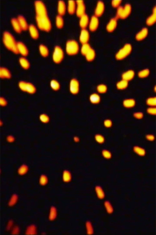 Movie poster for Celebrated Royal Fireworks (1973)