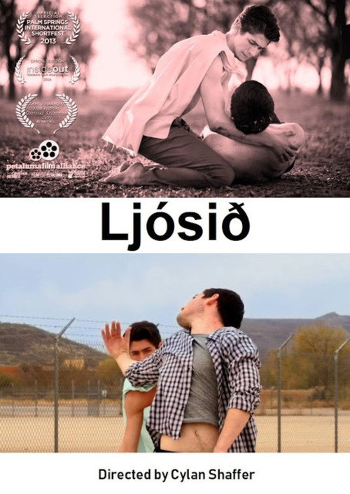 Movie poster for The Light (2013)