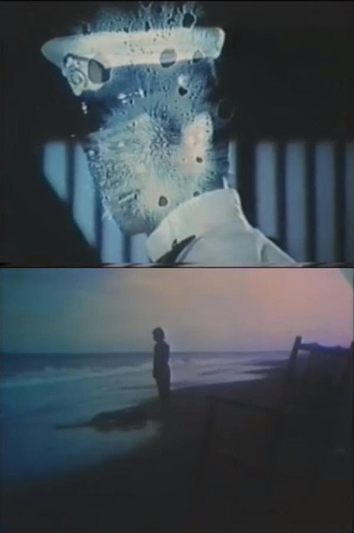 Movie poster for The Eraser (1977)