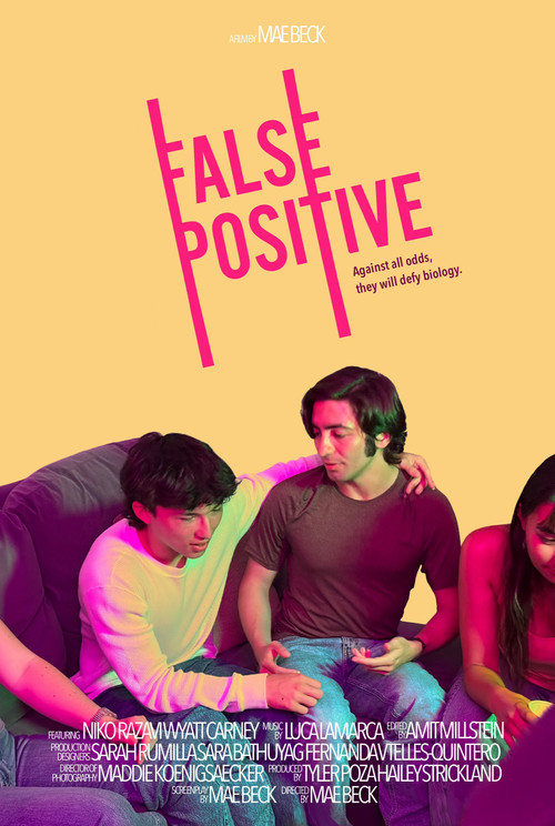 Movie poster for False Positive