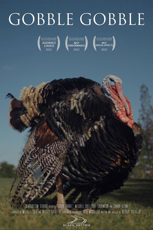 Movie poster for Gobble Gobble (2022)