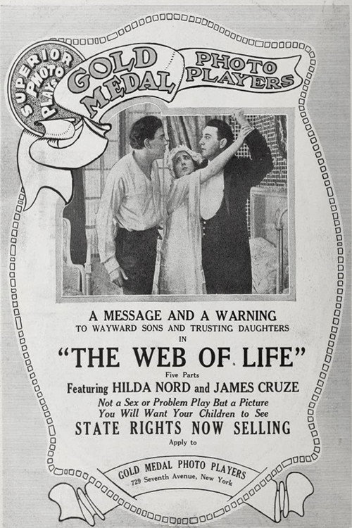 Movie poster for The Web of Life (1917)
