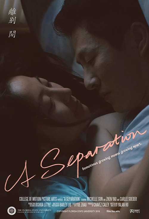 Movie poster for A Separation (2019)