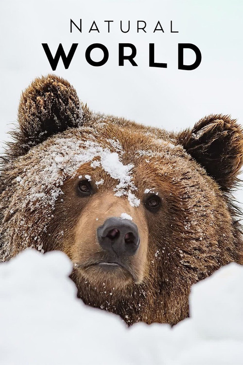 Movie poster for France: The Wild Side (2014)