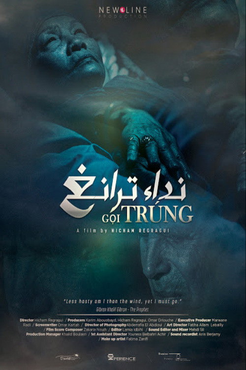 Movie poster for The Call of Trung (2015)