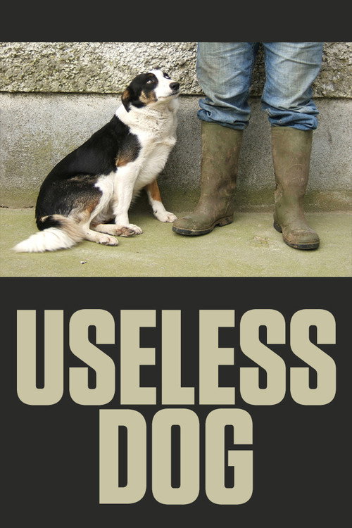 Movie poster for Useless Dog (2004)