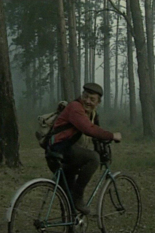 Movie poster for On the Swamps (2003)