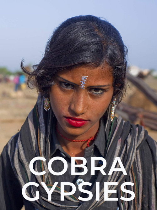 Movie poster for Cobra Gypsies (2015)