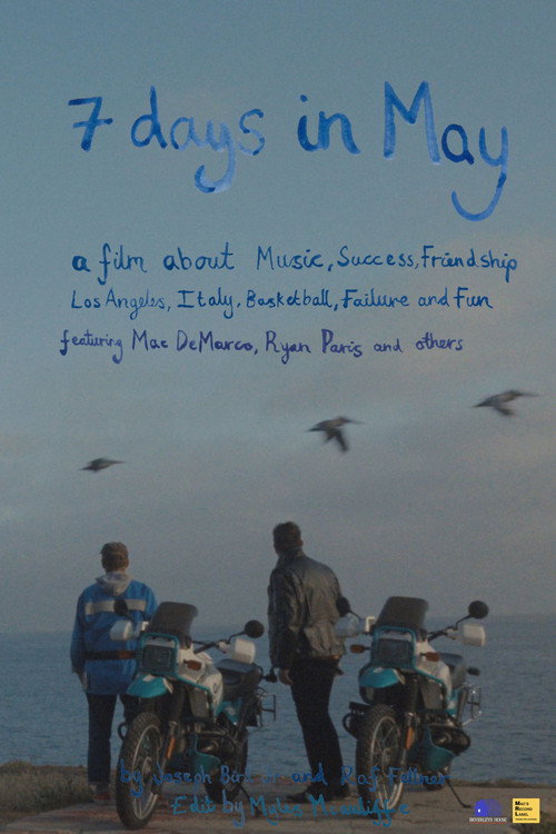 Movie poster for 7 Days In May