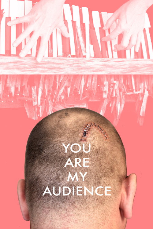 Movie poster for You Are My Audience (2023)