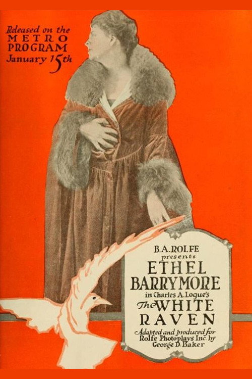 Movie poster for The White Raven (1917)