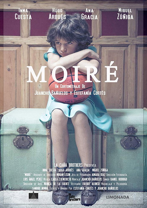 Movie poster for Moiré (2014)