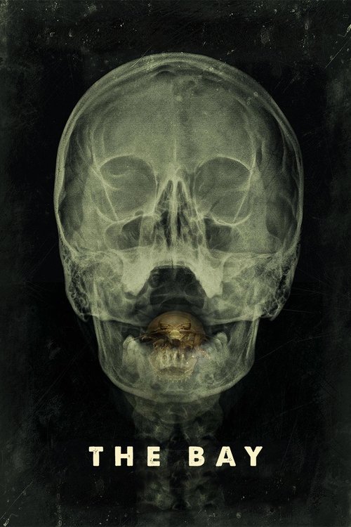 Movie poster for The Bay (2012)