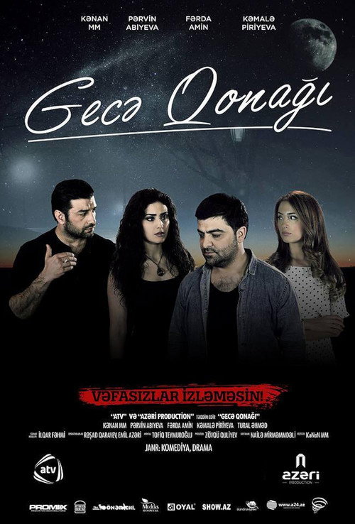 Movie poster for Night Guest (2015)