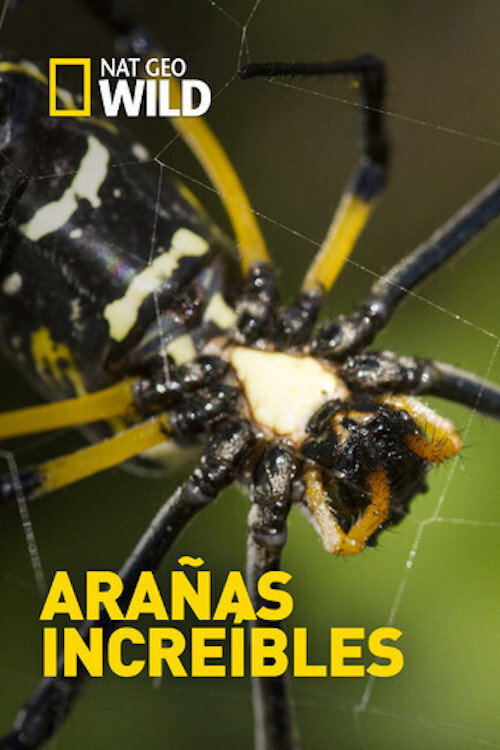 Movie poster for Incredible Spiders (2016)