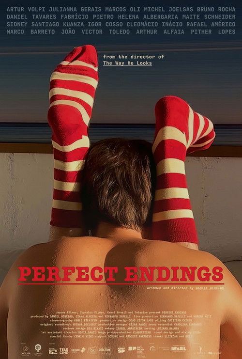 Movie poster for Perfect Endings (2024)