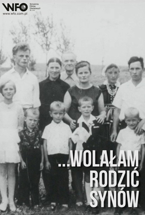 Movie poster for Wolałam rodzić synów (1985)