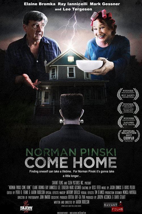 Movie poster for Norman Pinski Come Home (2017)