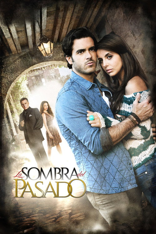 Series poster for Shadows of the Past (2014)