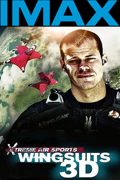 Movie poster for Wingsuit Warrior (2013)