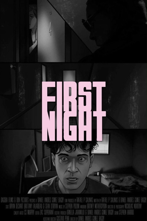 Movie poster for First Night (2017)