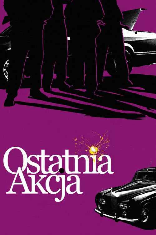 Movie poster for The Last Action (2009)