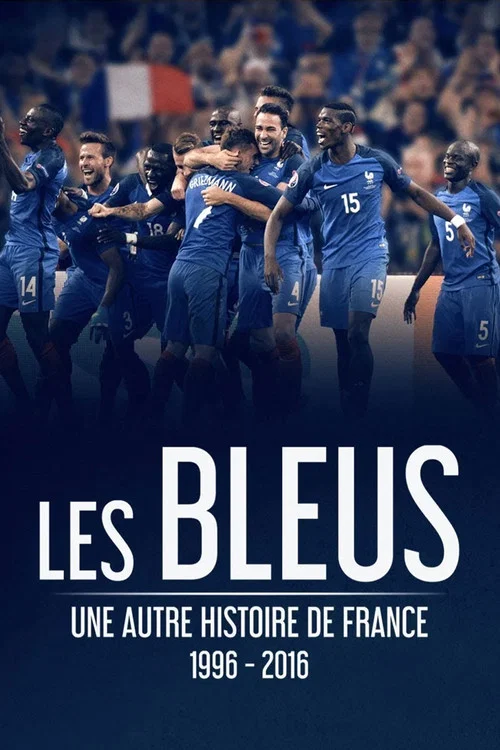 Movie poster for The Blues: Another Story of France (2016)