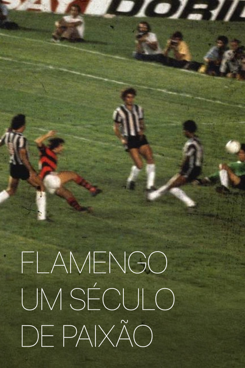 Movie poster for Flamengo: A Century of Passion (1995)