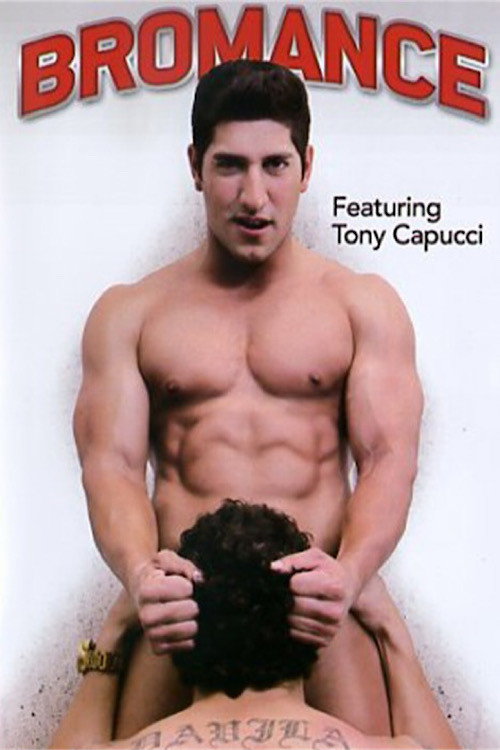 Movie poster for Bromance (2012)