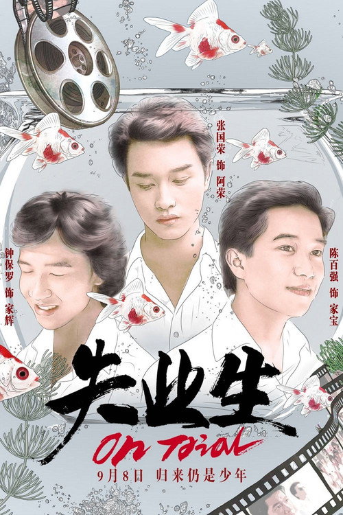 Movie poster for On Trial (1981)