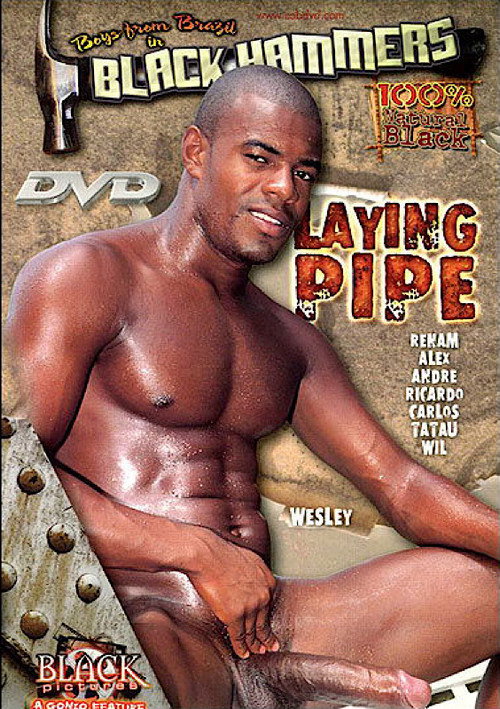 Movie poster for Laying Pipe (2002)