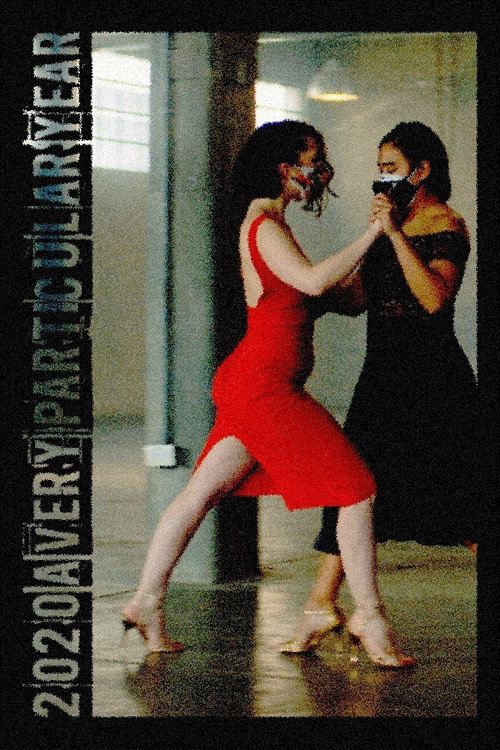Movie poster for 2020: A Very Particular Year (2020)