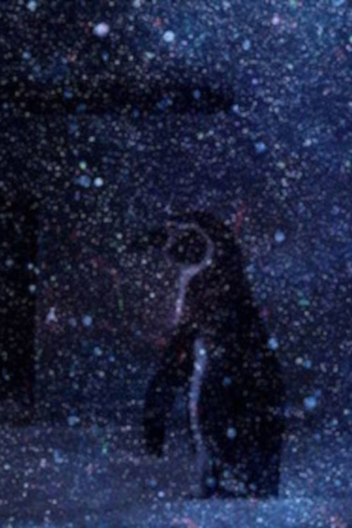 Movie poster for Space Noise Calling (2016)