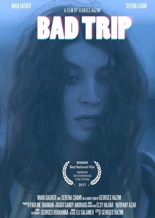 Movie poster for Bad Trip (2017)