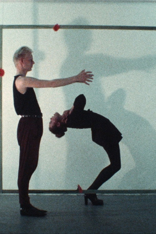 Movie poster for Dance Within Frame (1988)