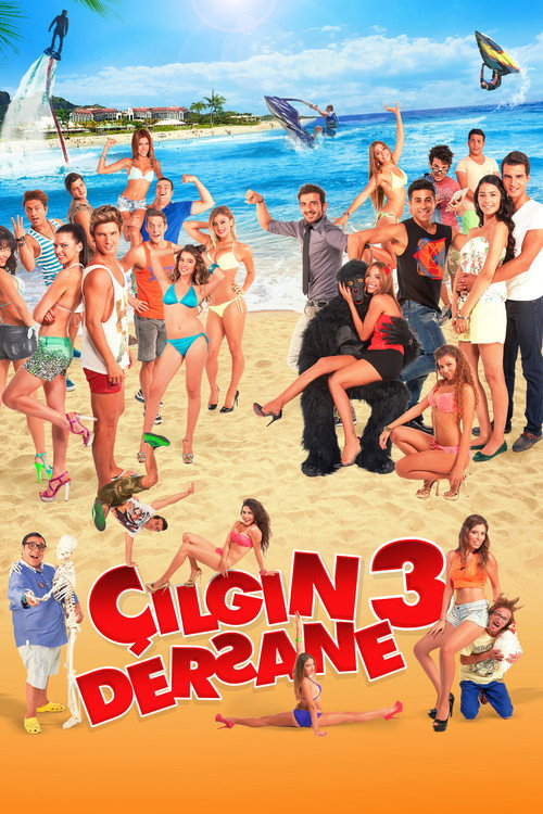Movie poster for Çılgın Dersane 3 (2014)