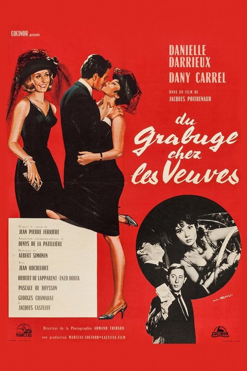 Movie poster for Trouble Among Widows (1964)